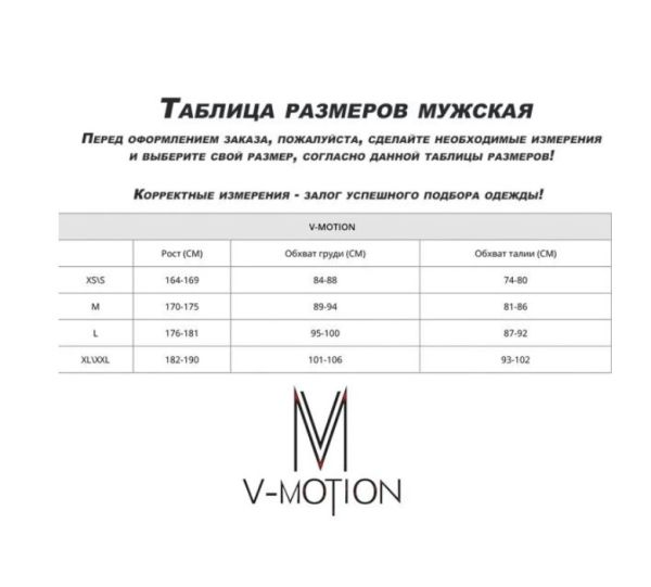 Термобельё V-MOTION Base мужской серебристый в Брянске