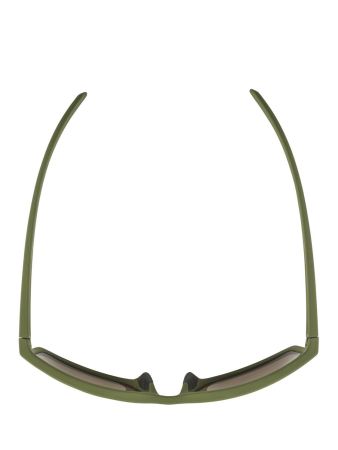 Купить Очки Alpina Nacan I Olive Matt/Bronce Mirror Cat.3 в Брянске