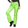 Брюки горнолыжные Sportalm Jump JF W 882811148 Lime в Брянске