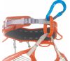  Карабин Camp Nitro-Lock Blue в Брянске  