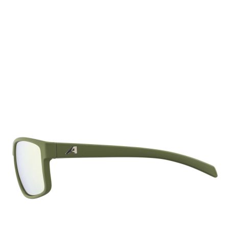 Купить Очки Alpina Nacan I Olive Matt/Bronce Mirror Cat.3 в Брянске