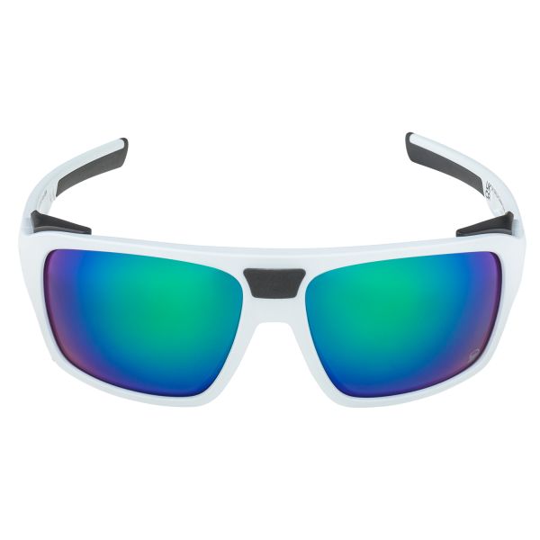 Купить очки alpina skywalsh q smoke-grey matt/green mirror cat.4 fogstop в Брянске