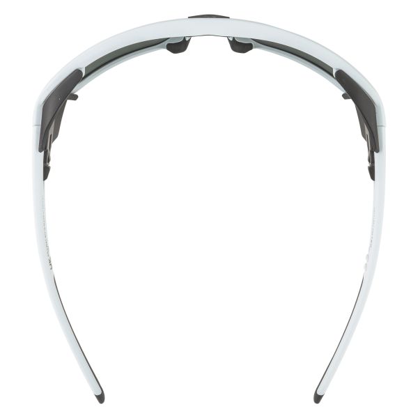 Купить очки alpina skywalsh q smoke-grey matt/green mirror cat.4 fogstop в Брянске