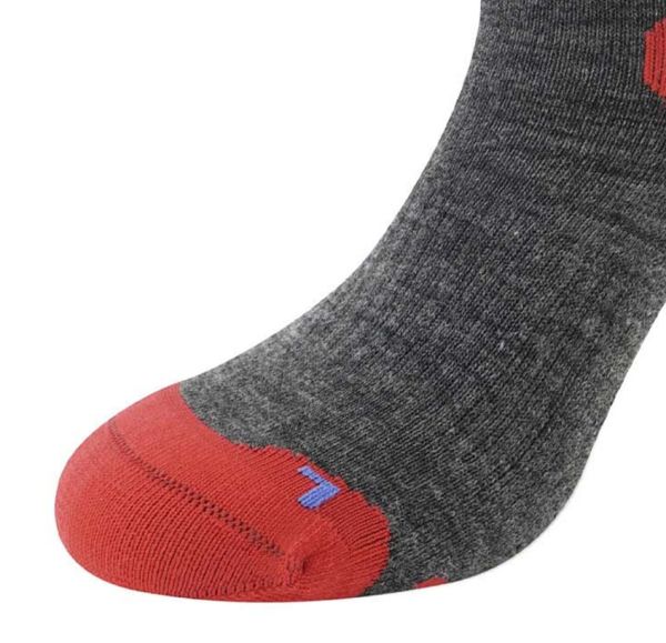 Купить Носки LENZ Skiing Kids Grey/Red/Blue в Брянске