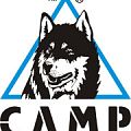 Кошки CAMP в Брянске