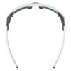 Купить Очки Alpina Skywalsh Q Smoke-Grey Matt/Green Mirror Cat.4 Fogstop в Брянске