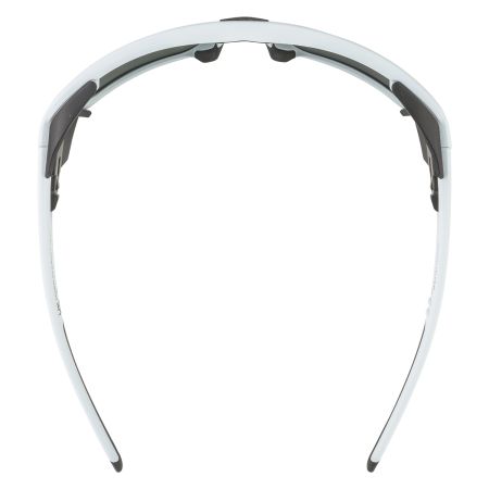 Купить Очки Alpina Skywalsh Q Smoke-Grey Matt/Green Mirror Cat.4 Fogstop в Брянске