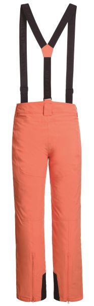 Брюки горнолыжные Icepeak 657038839IV 455 в Брянске