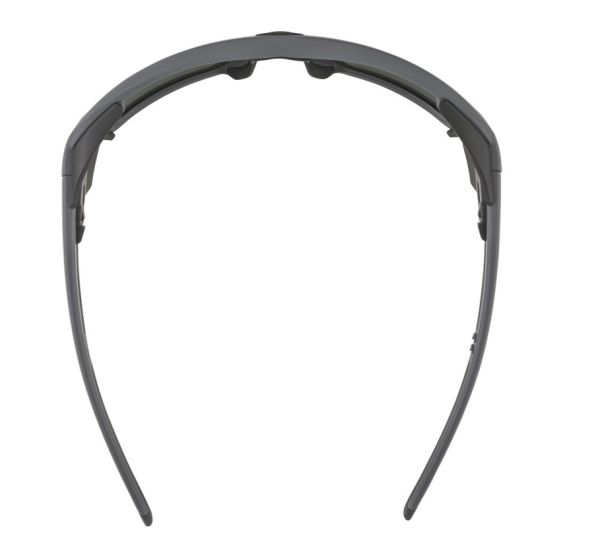 Купить очки alpina skywalsh q midnight-grey matt/blue mirror cat.4 fogstop в Брянске