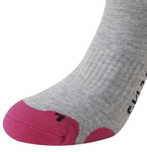 Купить Носки LENZ Skiing 2.0 Light Grey/Pink в Брянске