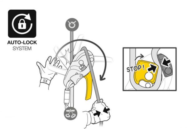  Спусковое устройство RIG Petzl в Брянске  