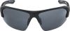 Купить Очки Alpina Lyron Hr Black Matt/Black Mirror Cat.3 в Брянске