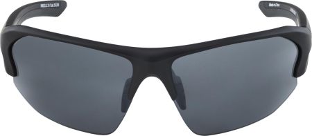 Купить Очки Alpina Lyron Hr Black Matt/Black Mirror Cat.3 в Брянске