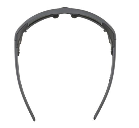 Купить Очки Alpina Skywalsh Q Midnight-Grey Matt/Blue Mirror Cat.4 Fogstop в Брянске